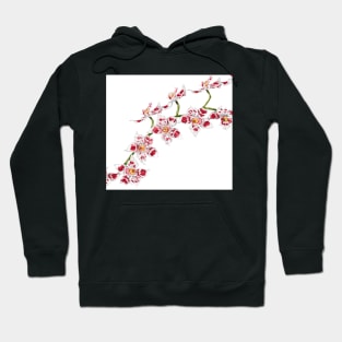 White orchid Hoodie